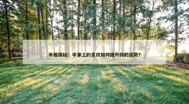 手相探秘：手掌上的星纹如何提升你的运势？