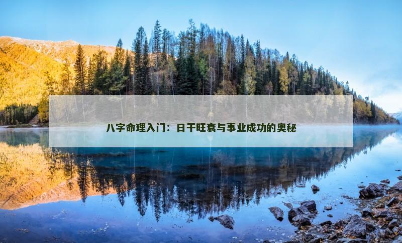 八字命理入门：日干旺衰与事业成功的奥秘