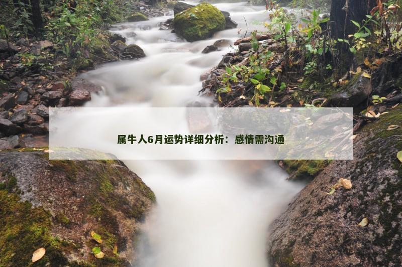 属牛人6月运势详细分析：感情需沟通