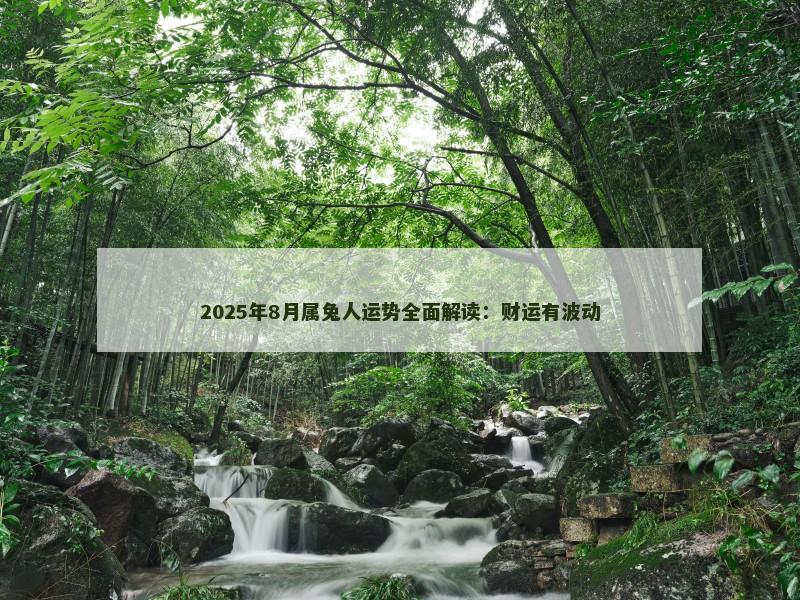 2025年8月属兔人运势全面解读：财运有波动