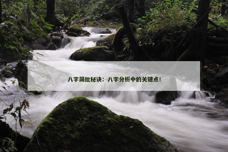 八字简批秘诀：八字分析中的关键点！