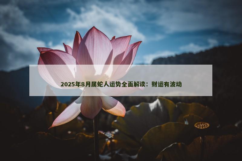 2025年8月属蛇人运势全面解读：财运有波动