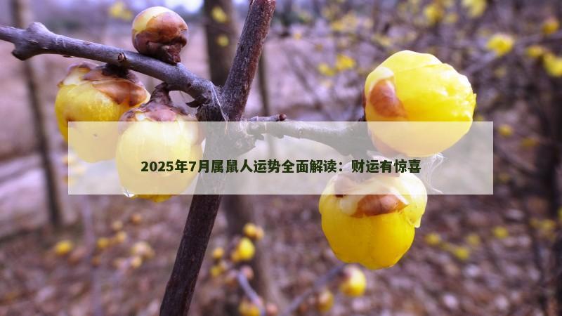 2025年7月属鼠人运势全面解读：财运有惊喜