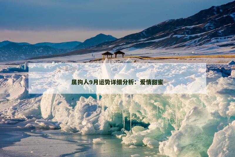 属狗人9月运势详细分析：爱情甜蜜