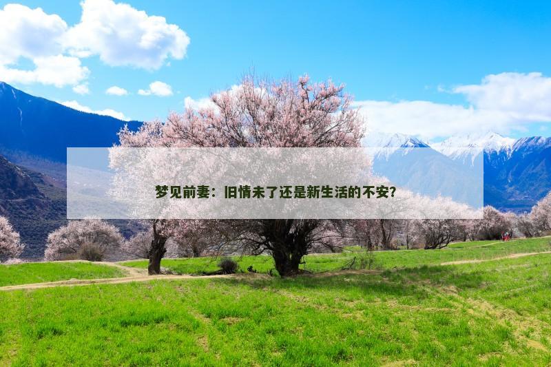梦见前妻：旧情未了还是新生活的不安？