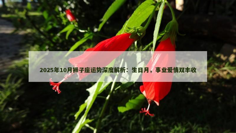2025年10月狮子座运势深度解析：生日月，事业爱情双丰收