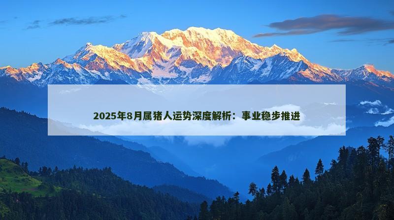 2025年8月属猪人运势深度解析：事业稳步推进