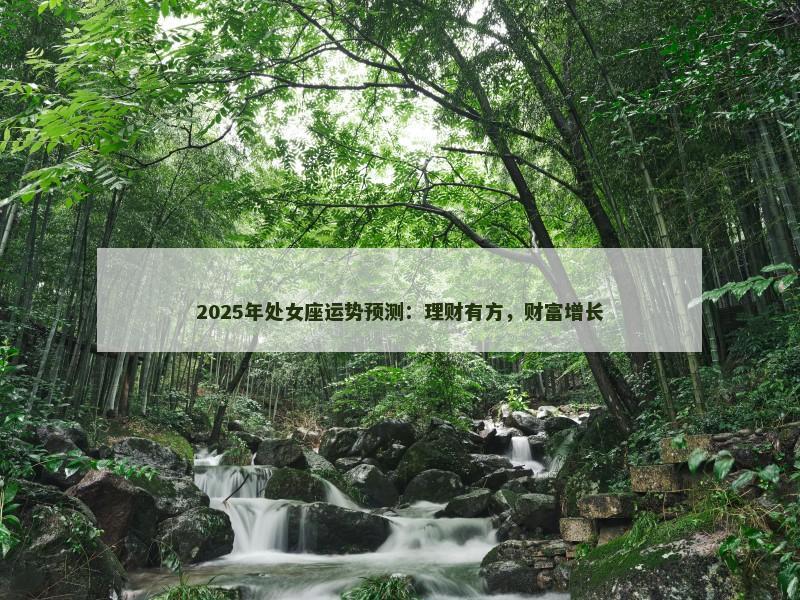 2025年处女座运势预测：理财有方，财富增长