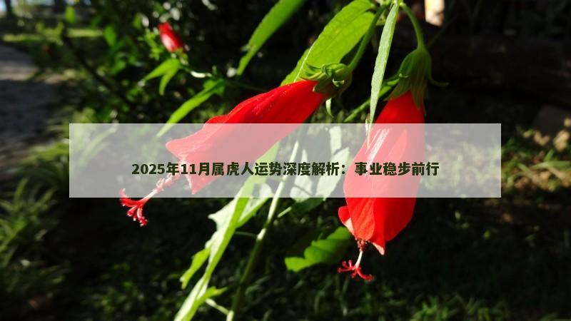 2025年11月属虎人运势深度解析：事业稳步前行