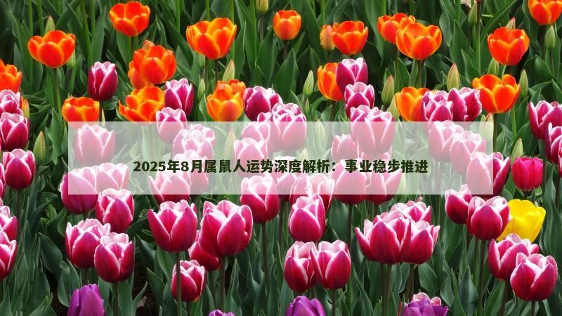 2025年8月属鼠人运势深度解析：事业稳步推进
