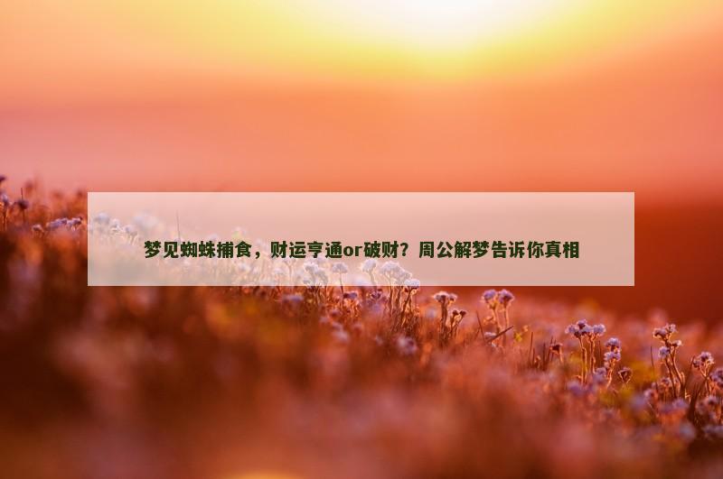 梦见蜘蛛捕食，财运亨通or破财？周公解梦告诉你真相