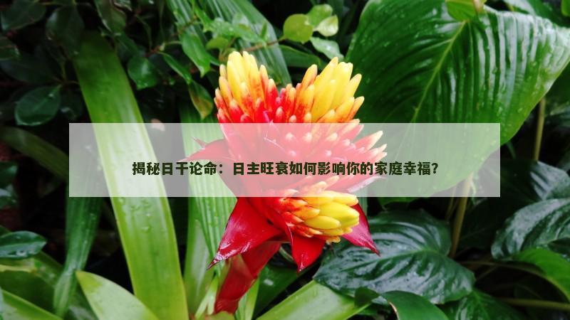 揭秘日干论命：日主旺衰如何影响你的家庭幸福？