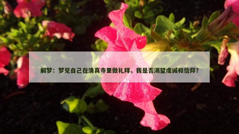 解梦：梦见自己在清真寺里做礼拜，我是否渴望虔诚和信仰？