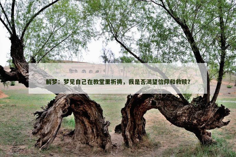 解梦：梦见自己在教堂里祈祷，我是否渴望信仰和救赎？