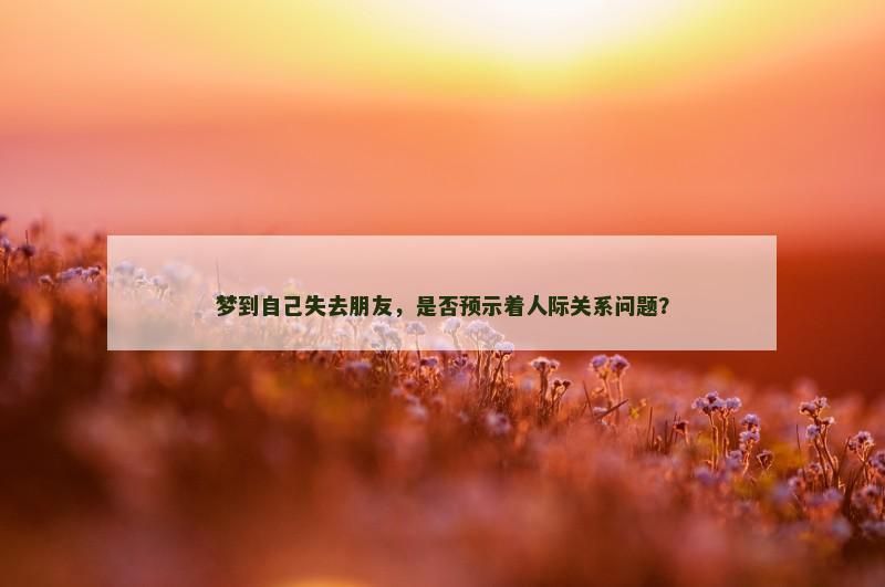 梦到自己失去朋友，是否预示着人际关系问题？