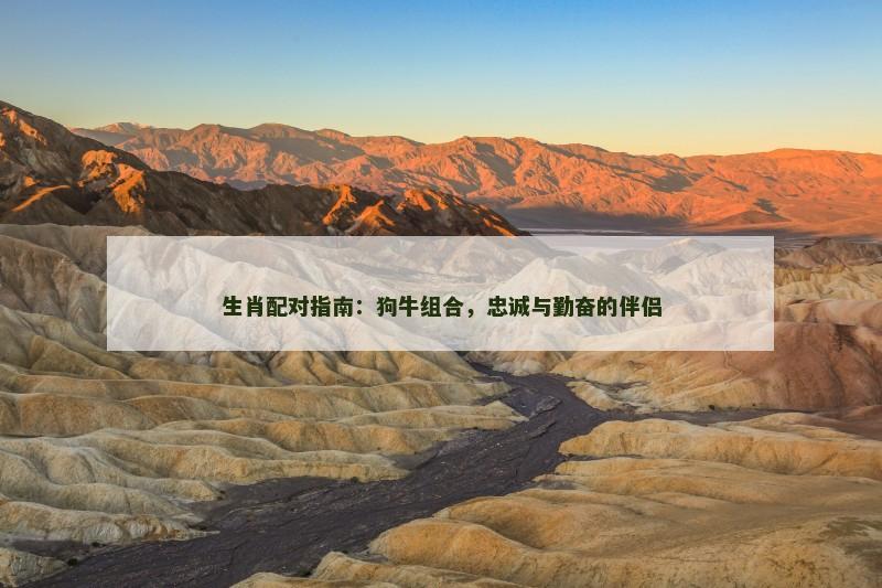 生肖配对指南：狗牛组合，忠诚与勤奋的伴侣