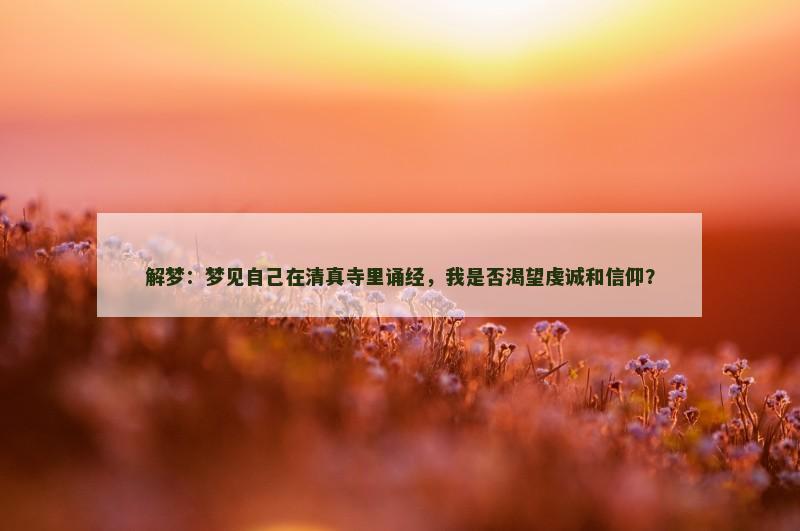 解梦：梦见自己在清真寺里诵经，我是否渴望虔诚和信仰？