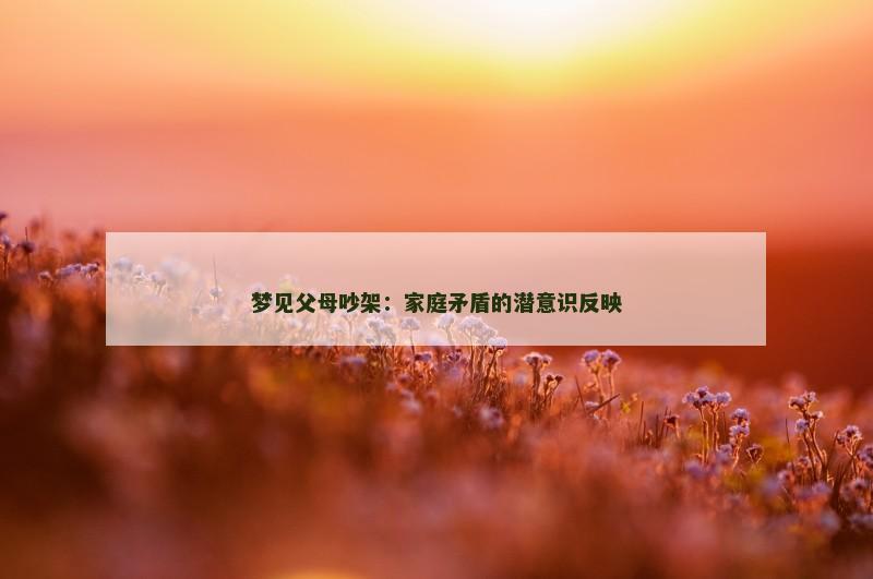 梦见父母吵架：家庭矛盾的潜意识反映