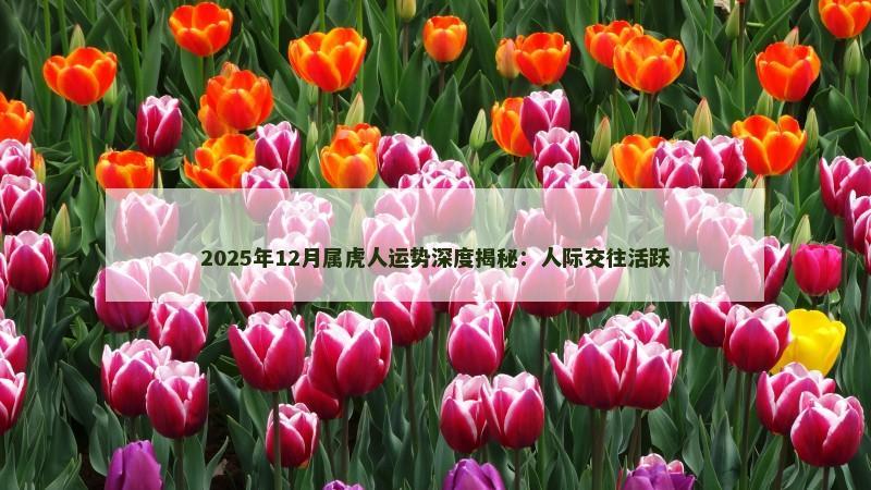 2025年12月属虎人运势深度揭秘：人际交往活跃