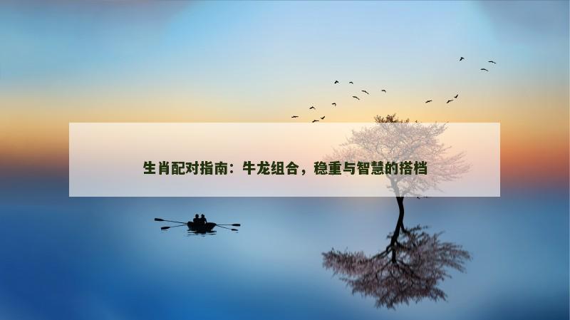 生肖配对指南：牛龙组合，稳重与智慧的搭档