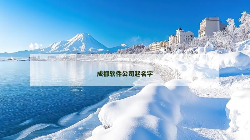 成都软件公司起名字