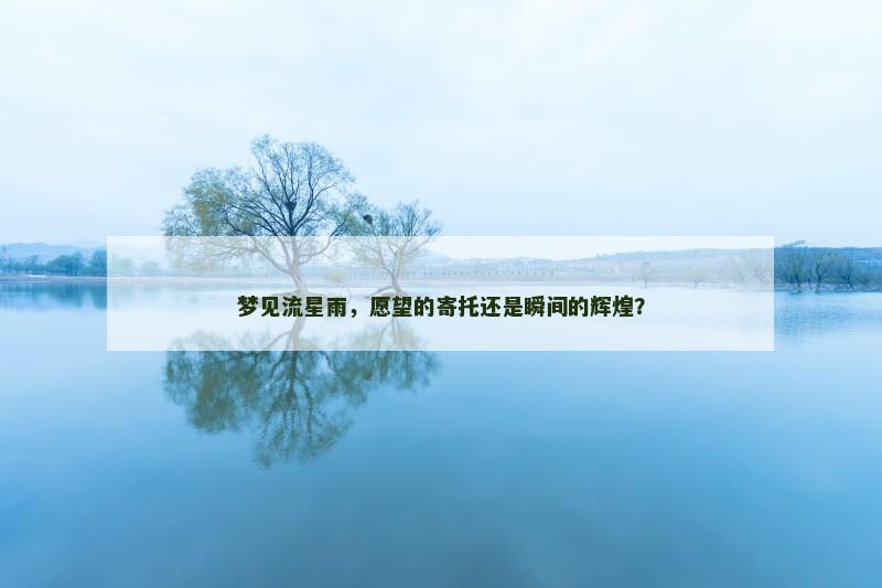 梦见流星雨，愿望的寄托还是瞬间的辉煌？