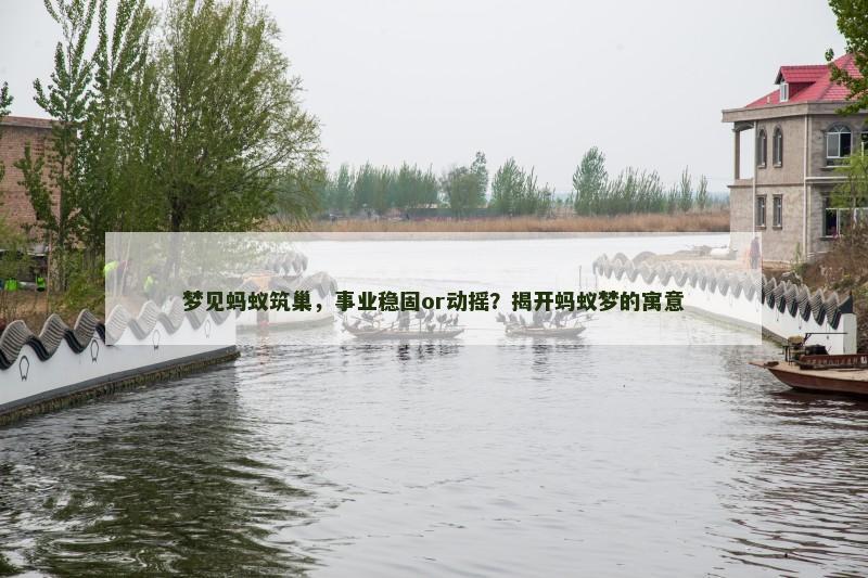 梦见蚂蚁筑巢，事业稳固or动摇？揭开蚂蚁梦的寓意