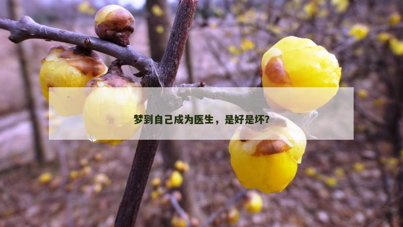 梦到自己成为医生，是好是坏？