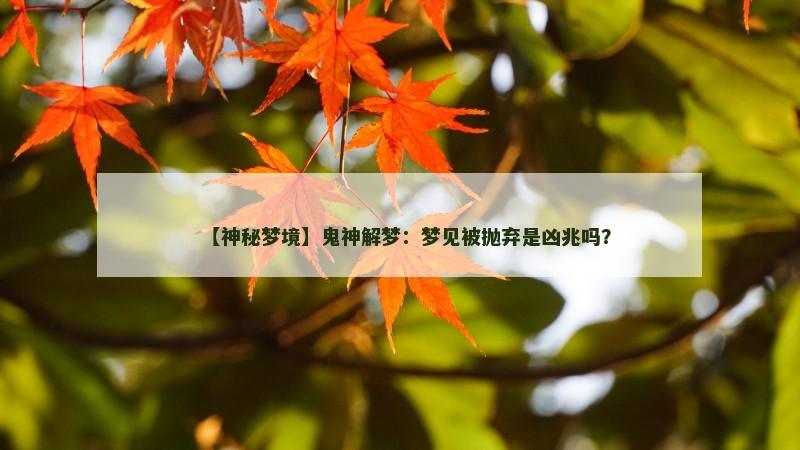 【神秘梦境】鬼神解梦：梦见被抛弃是凶兆吗？