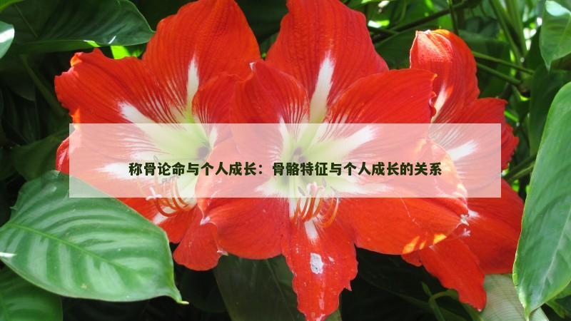 称骨论命与个人成长：骨骼特征与个人成长的关系