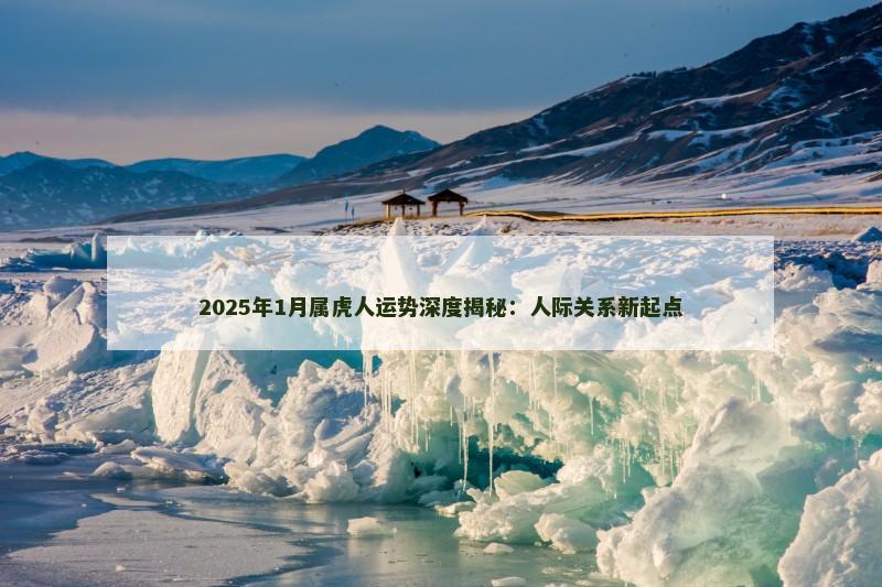 2025年1月属虎人运势深度揭秘：人际关系新起点