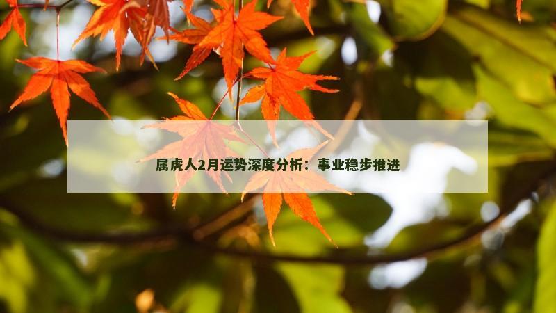 属虎人2月运势深度分析：事业稳步推进