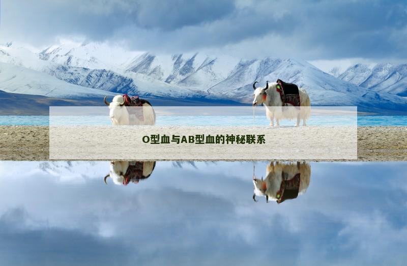 O型血与AB型血的神秘联系