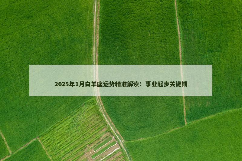 2025年1月白羊座运势精准解读：事业起步关键期