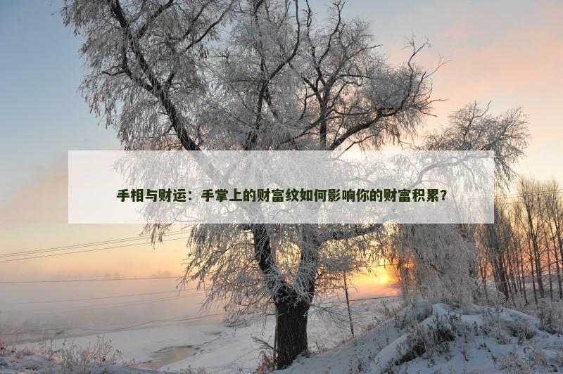 手相与财运：手掌上的财富纹如何影响你的财富积累？