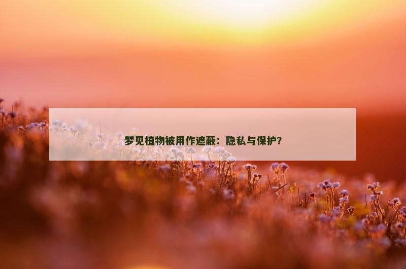 梦见植物被用作遮蔽：隐私与保护？