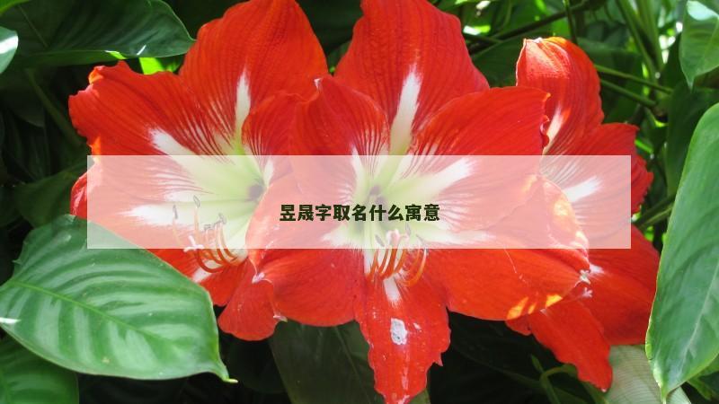 昱晟字取名什么寓意