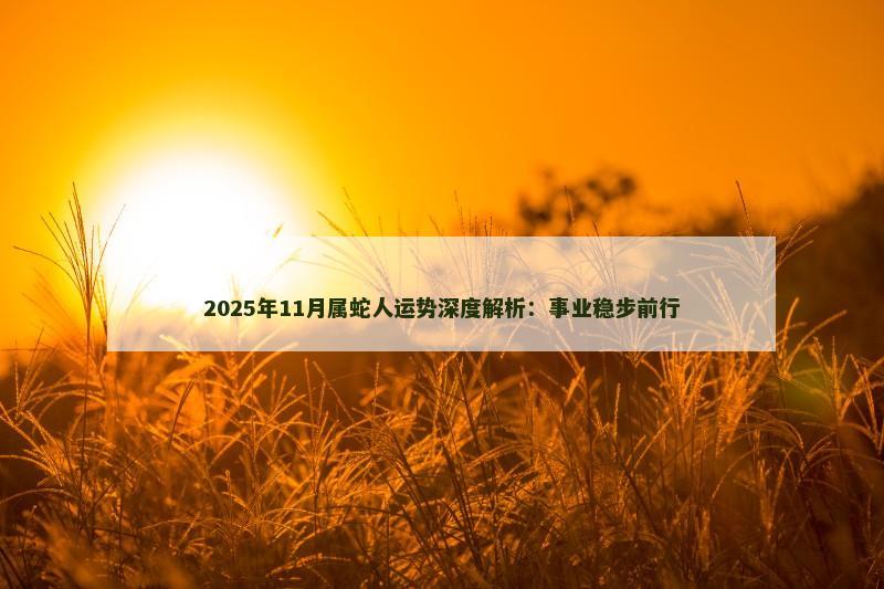 2025年11月属蛇人运势深度解析：事业稳步前行