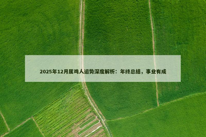 2025年12月属鸡人运势深度解析：年终总结，事业有成
