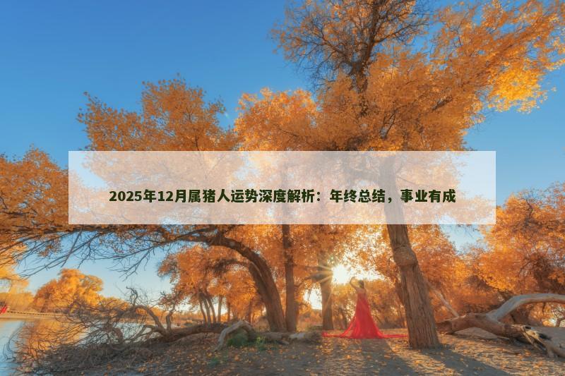 2025年12月属猪人运势深度解析：年终总结，事业有成