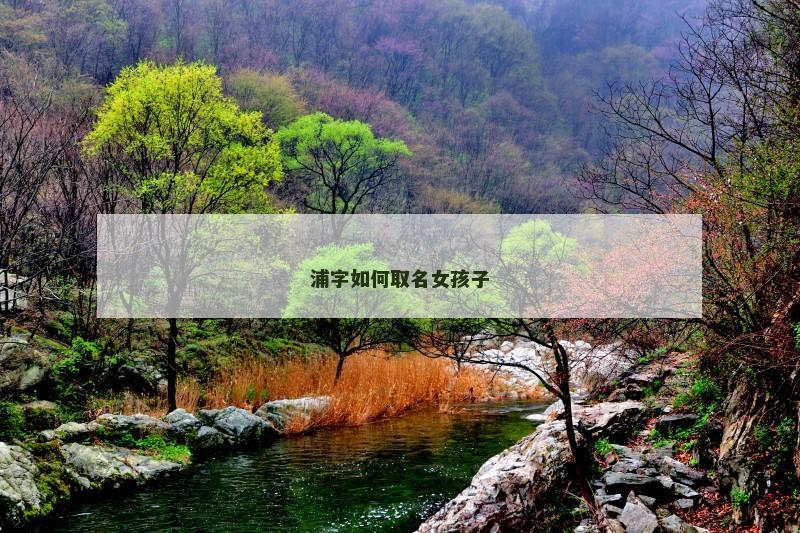 浦字如何取名女孩子
