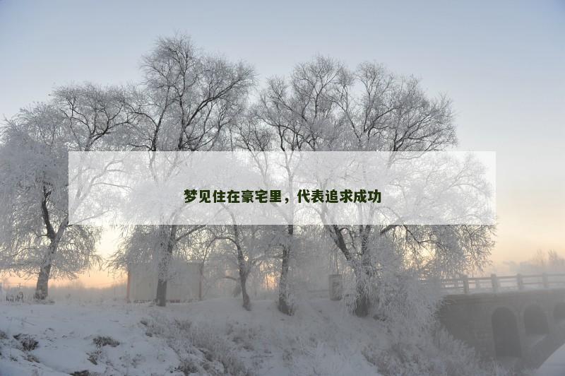 梦见住在豪宅里，代表追求成功