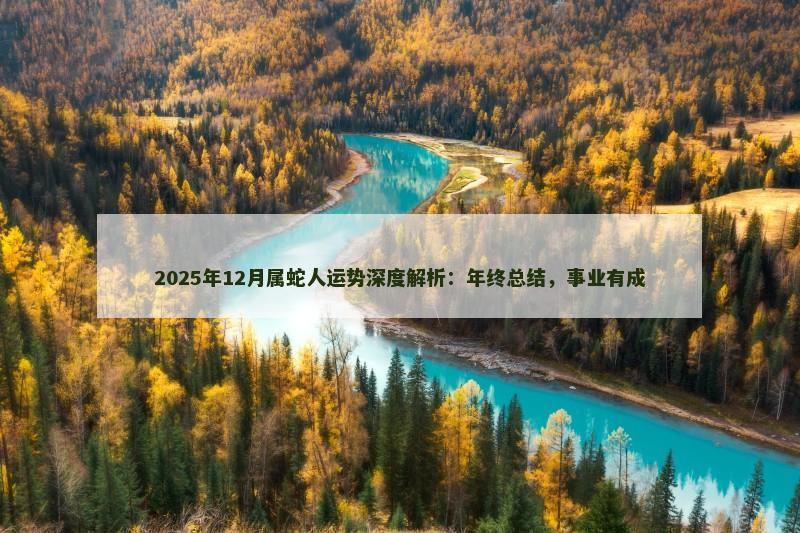 2025年12月属蛇人运势深度解析：年终总结，事业有成