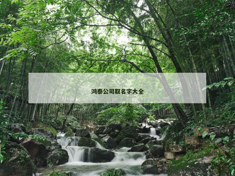 鸿泰公司取名字大全