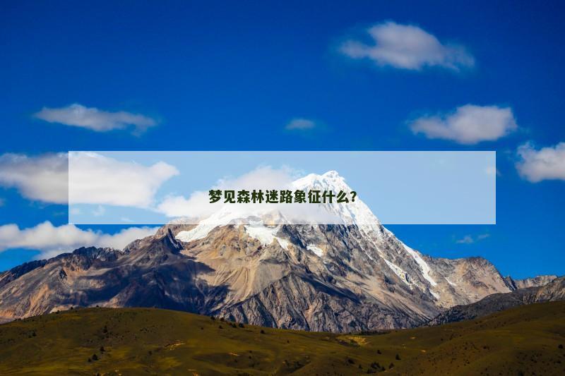 梦见森林迷路象征什么？
