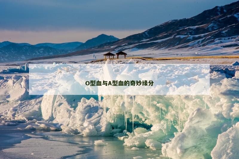 O型血与A型血的奇妙缘分