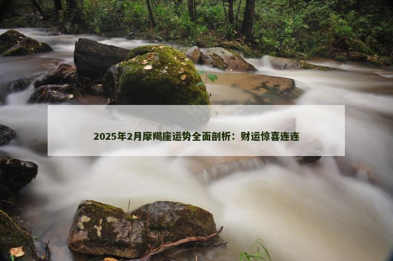 2025年2月摩羯座运势全面剖析：财运惊喜连连