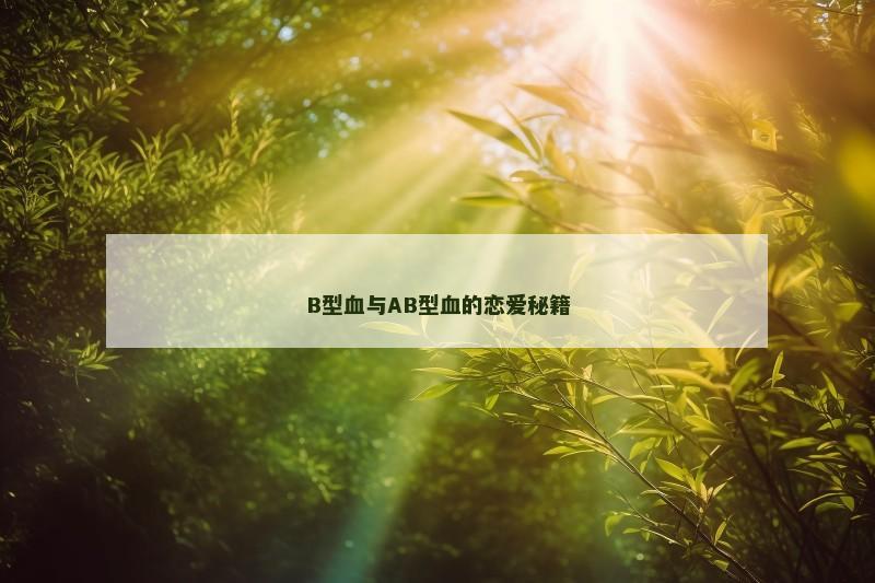 B型血与AB型血的恋爱秘籍