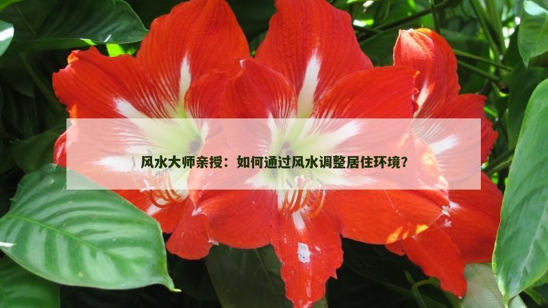 风水大师亲授：如何通过风水调整居住环境？