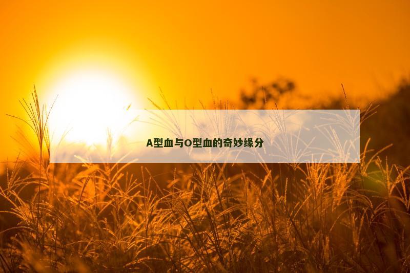 A型血与O型血的奇妙缘分